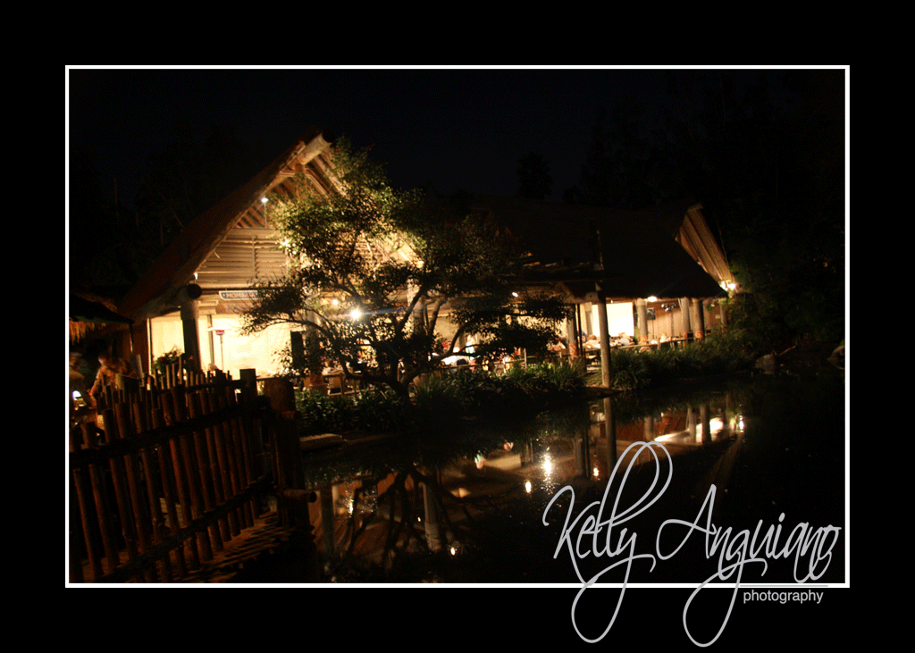 [Andrea-Blog-19.gif]