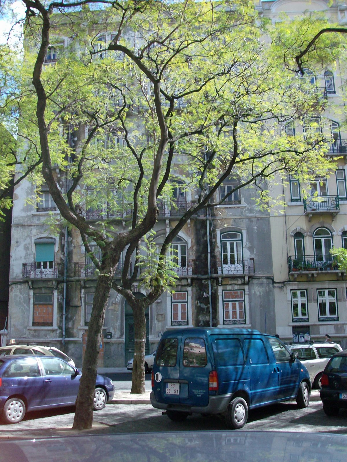 [HPIM0475.JPG]