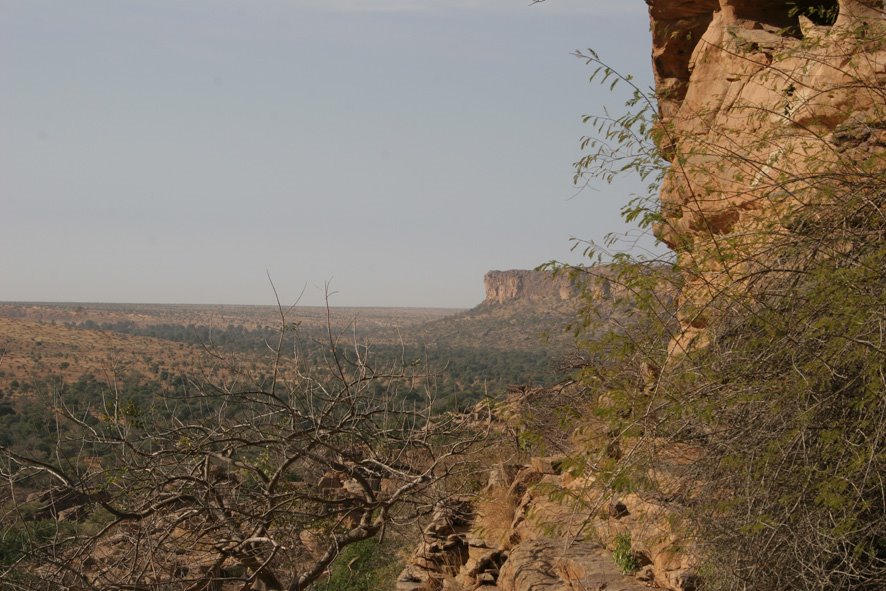 [IMG_9516.JPG]