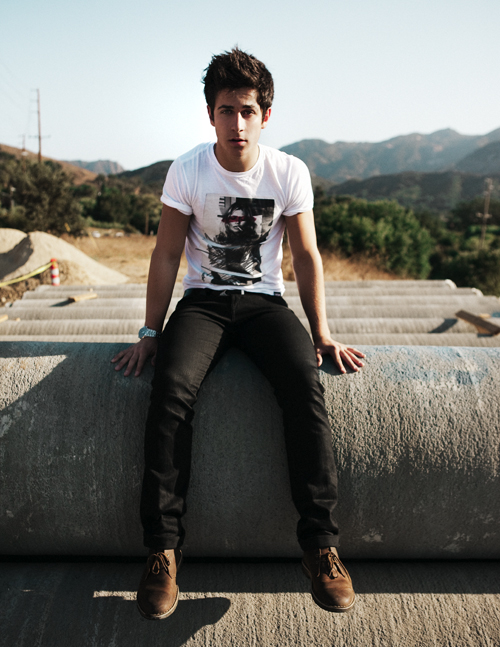 David Henrie 2011