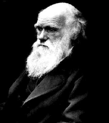 [darwin2.gif]