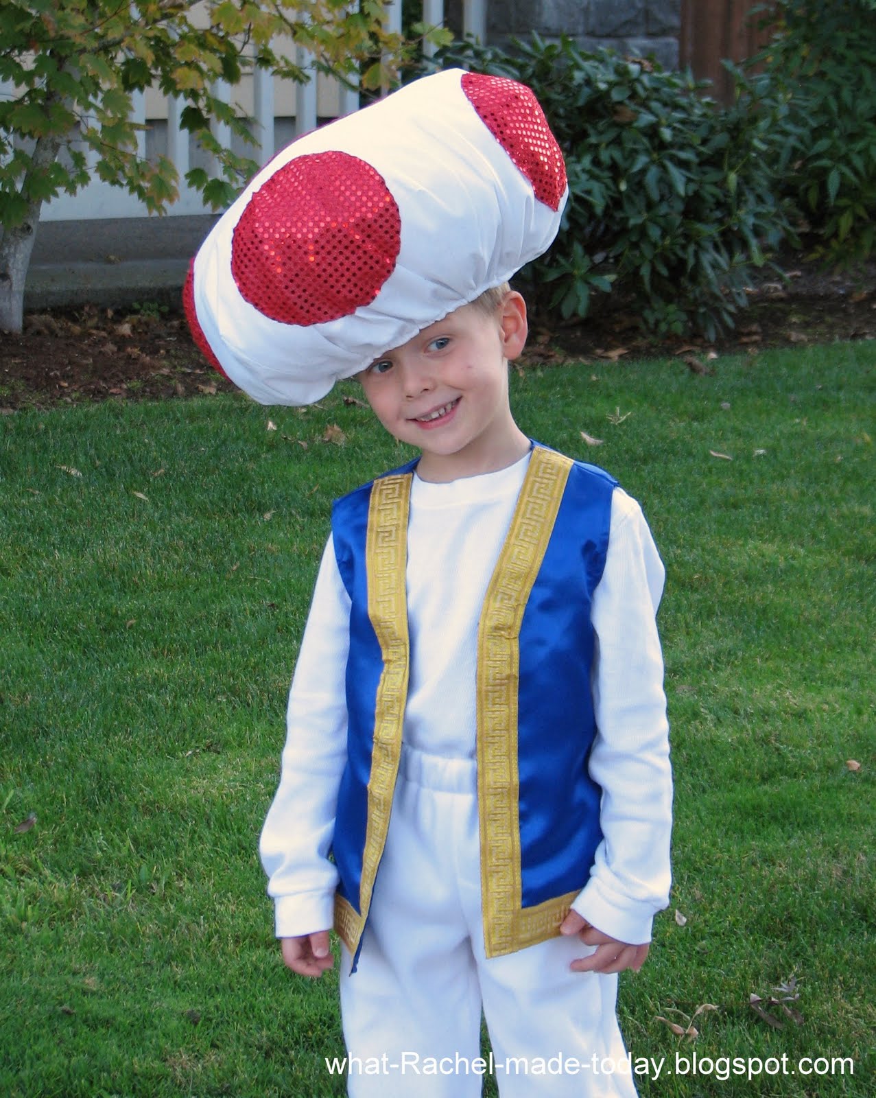 Step-by-Step Guide: Making a Mario Toad Costume