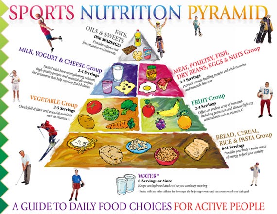 Artigos de nutricao esportiva