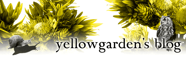 yellowgarden’ blog