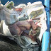 lagi kes buang bayi,bayi ditemui dalam tong sampah