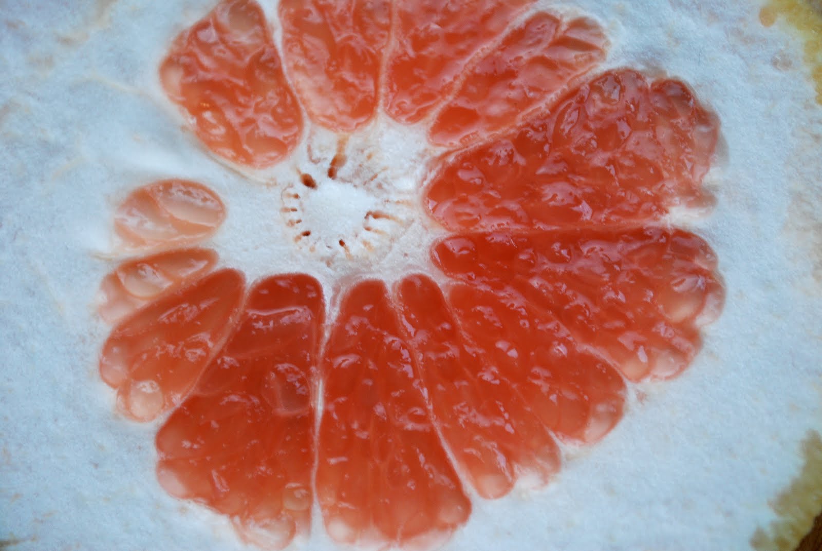 grapefruit tart Brooklyn Supper