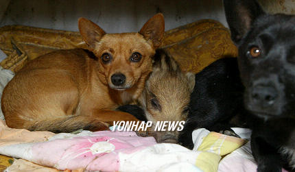 taipei prostitution place