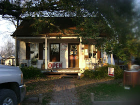 Louisiana Swamp Tours The Best Bed And Breakfast In Breaux Bridge