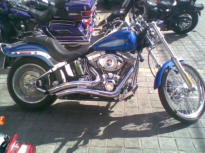 Softail Standard llanta ancha 200 modelo 2007