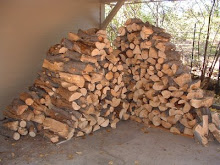 Our Wood Pile