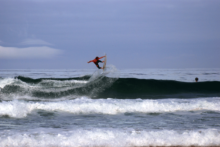 [DSC_0375.gif]