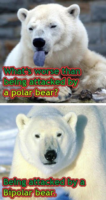 [imagesbipolar_20bear.jpg]