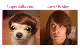 Javier Bardem  A Look A Like Wi...