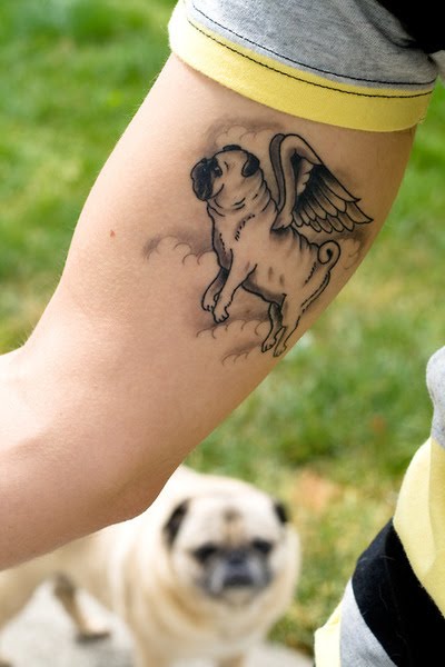 Pug Tattoo. Pugasus! Tattoo by Justin Dion. You can find Justin at Blacklist Pug Tattoo. Pugasus! Tattoo by Justin Dion. You can find Justin at Blacklist