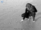 Fotografia mea