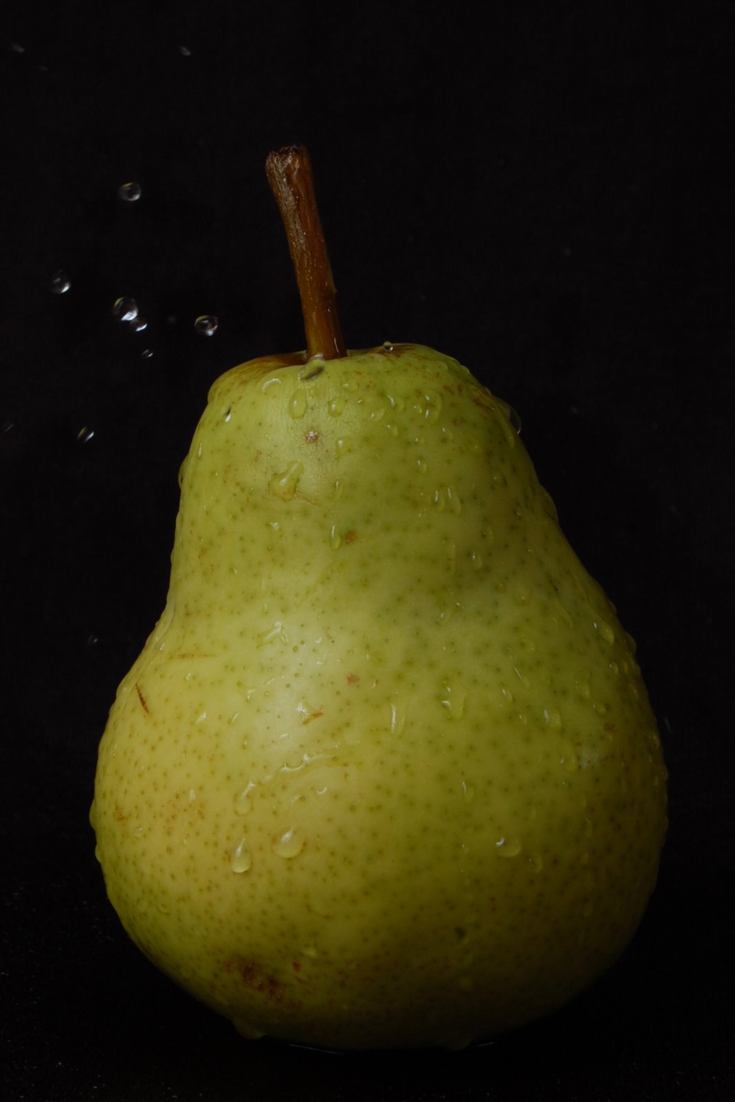 [pear+2.JPG]