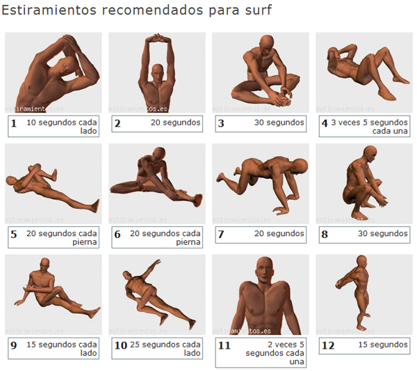 asistir a un gimnasio, por eso proponemos una rutina de ejercicio que