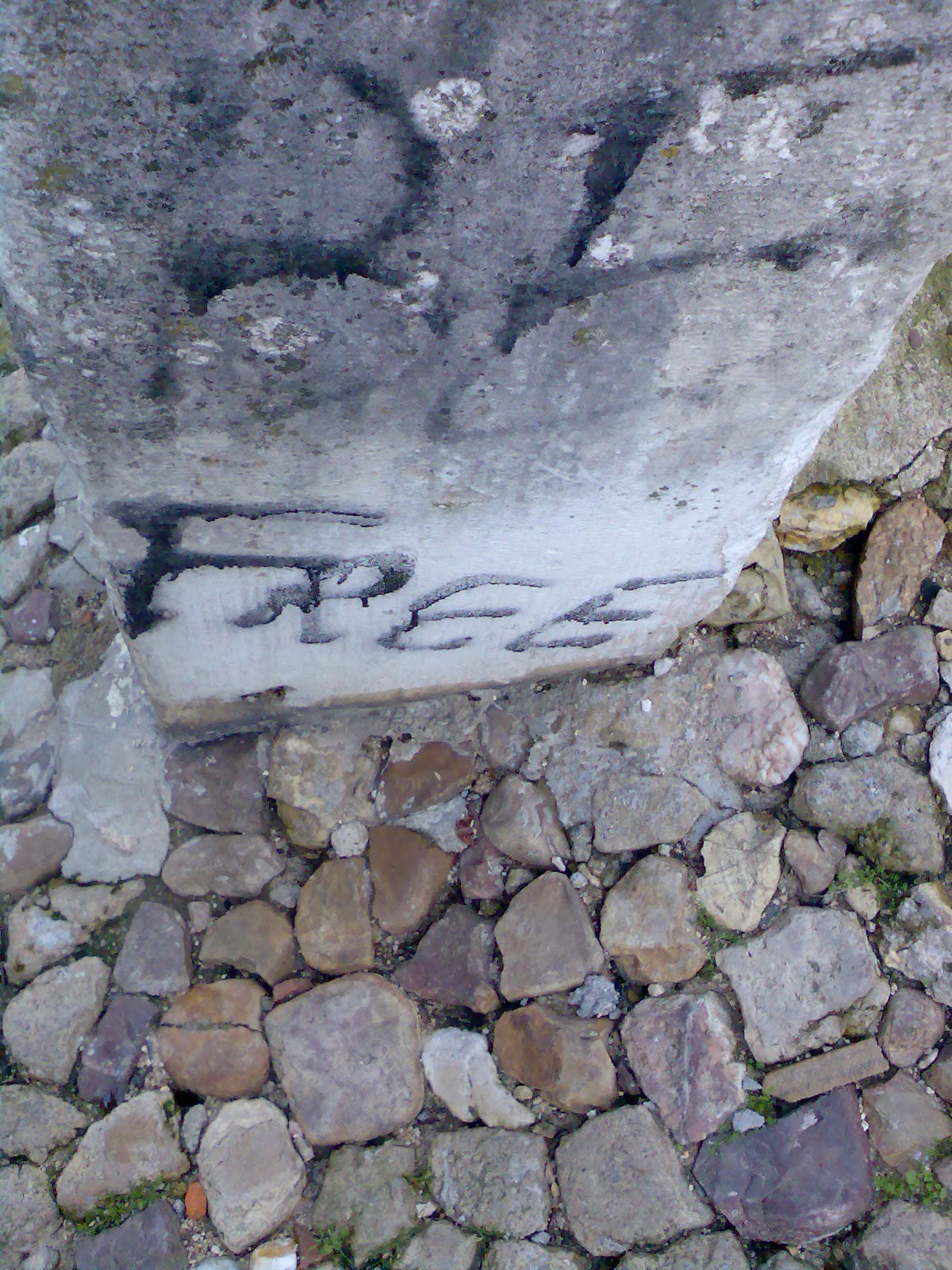[Img279.jpg]