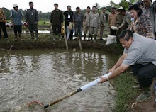 SATU RT: Budidaya Ikan Gabus (terapan)