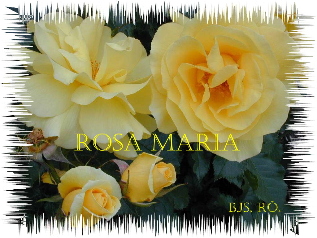 [ROSA....jpg]