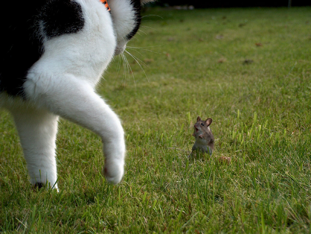 [15354825_8e880356e6_o.jpg]