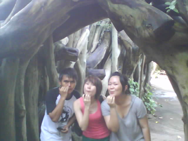 [DSC00698.JPG]