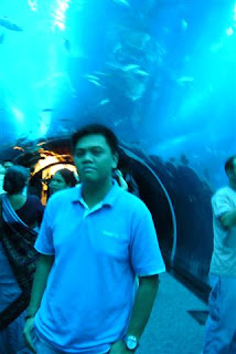 Dubai+mall+aquarium+wiki