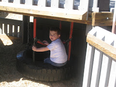 Tire Swing