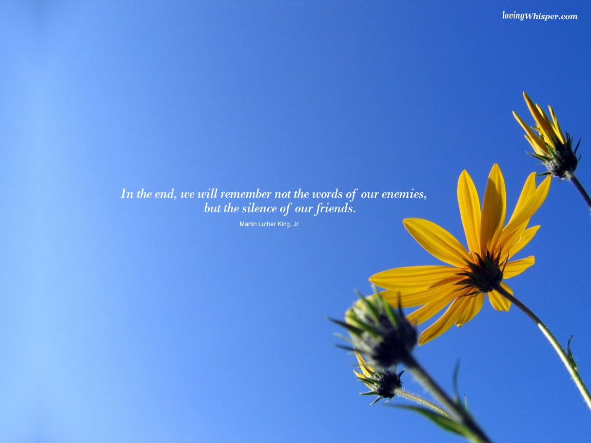 http://2.bp.blogspot.com/_m1Z6uxpmlU8/TJCPJofN6MI/AAAAAAAAAO8/Uu_y4cZLmG8/s1600/5782-silence-of-our-friends.jpg