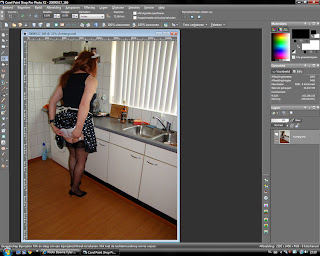 corel paint pro 2021 corel paint pro 2021