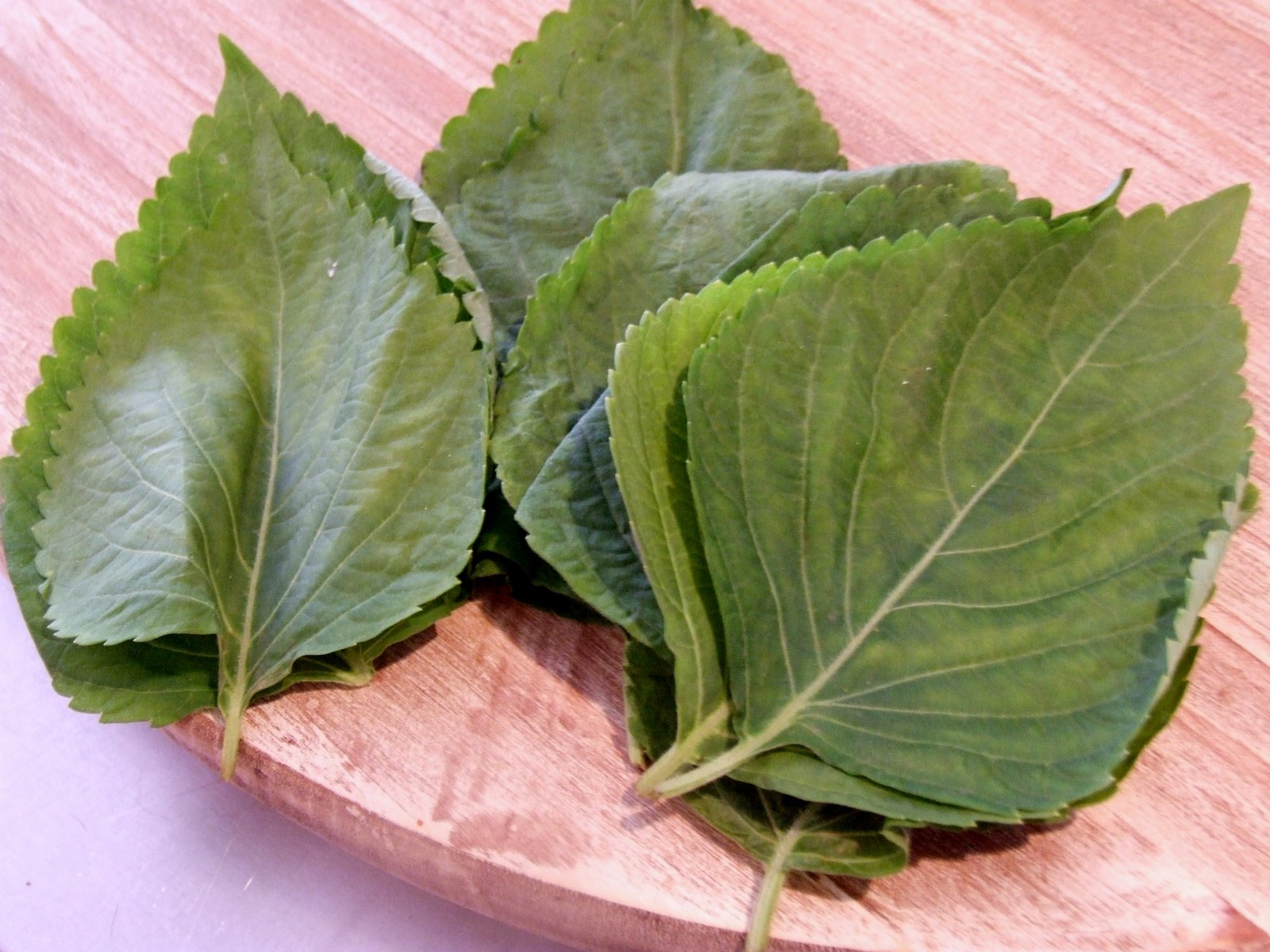 Sesame Leaves