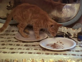 Abraxas 365 Dokumentarci Grey Gardens 1975