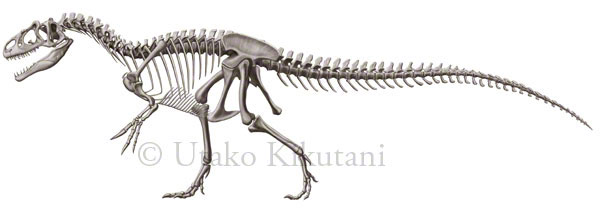 Utako Kikutani Illustration (English): January 2007