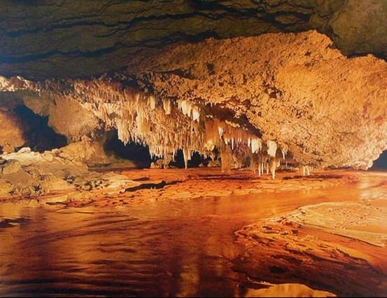 o2 Western Australia Gnangara 'mound cannot be saved'