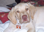 Sebastian