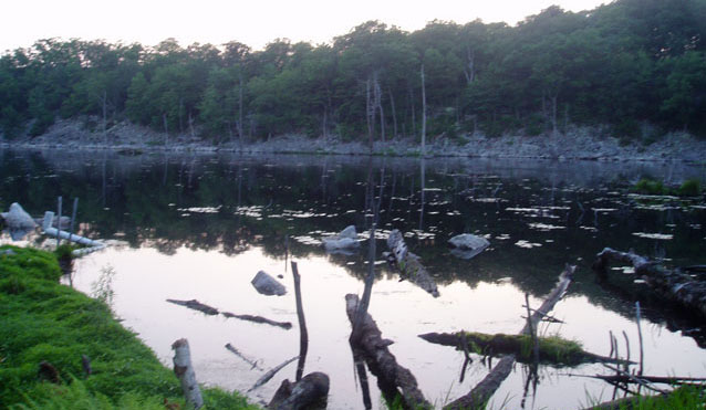 Beaver Pond