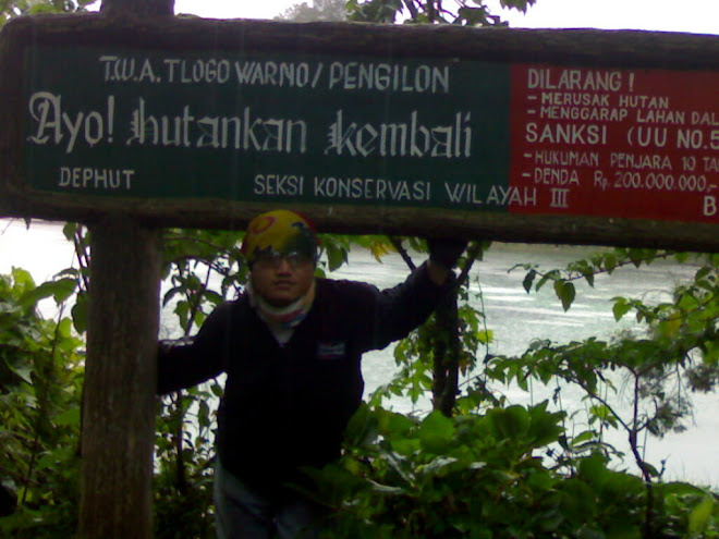 Touring Dieng - Telaga Warna