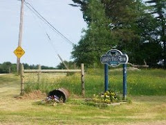 Summer in Maine