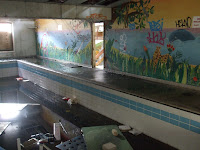 Cherry Knowle Hospital (Sunderland Borough Asylum) Cherry Knowle Hospital (Sunderland Borough Asylum)