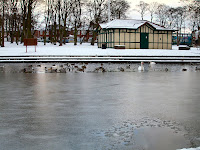 Paddy Freemans Park Paddy Freemans Park
