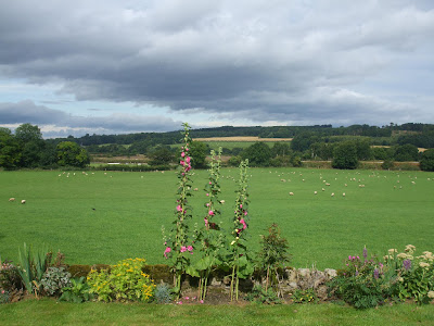 Merry Shield Farm Merry Shield Farm