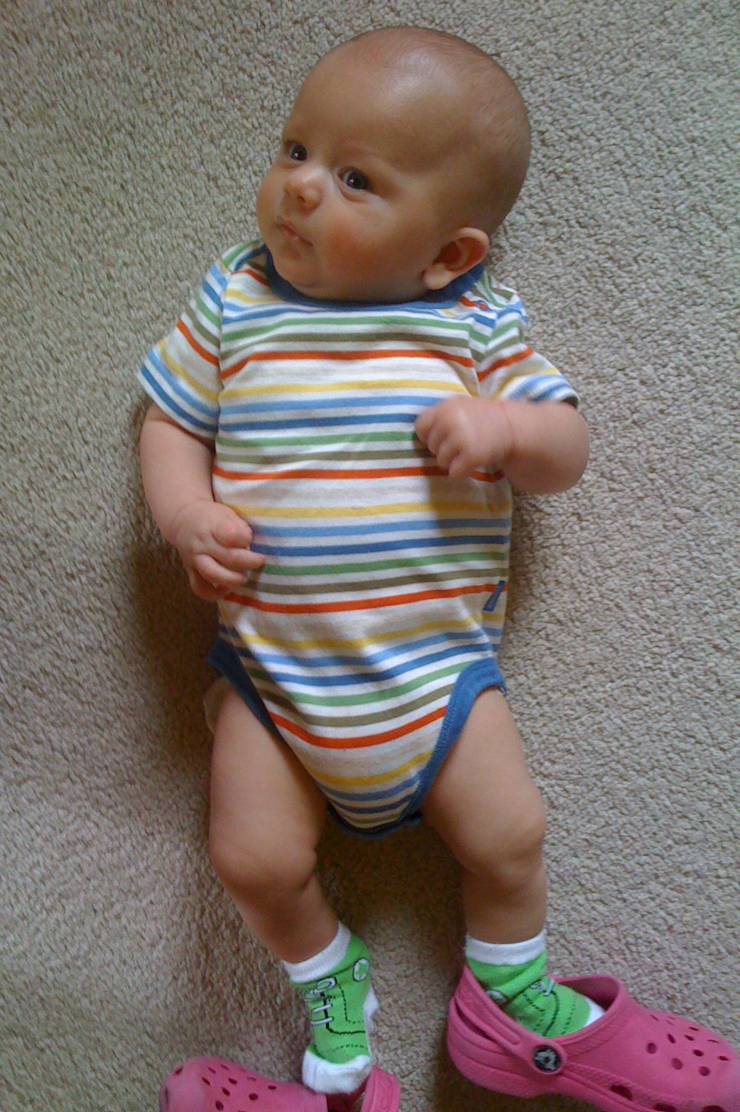 [IMG_0165crop.JPG]