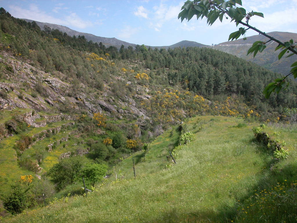 [DSCN0214.JPG]