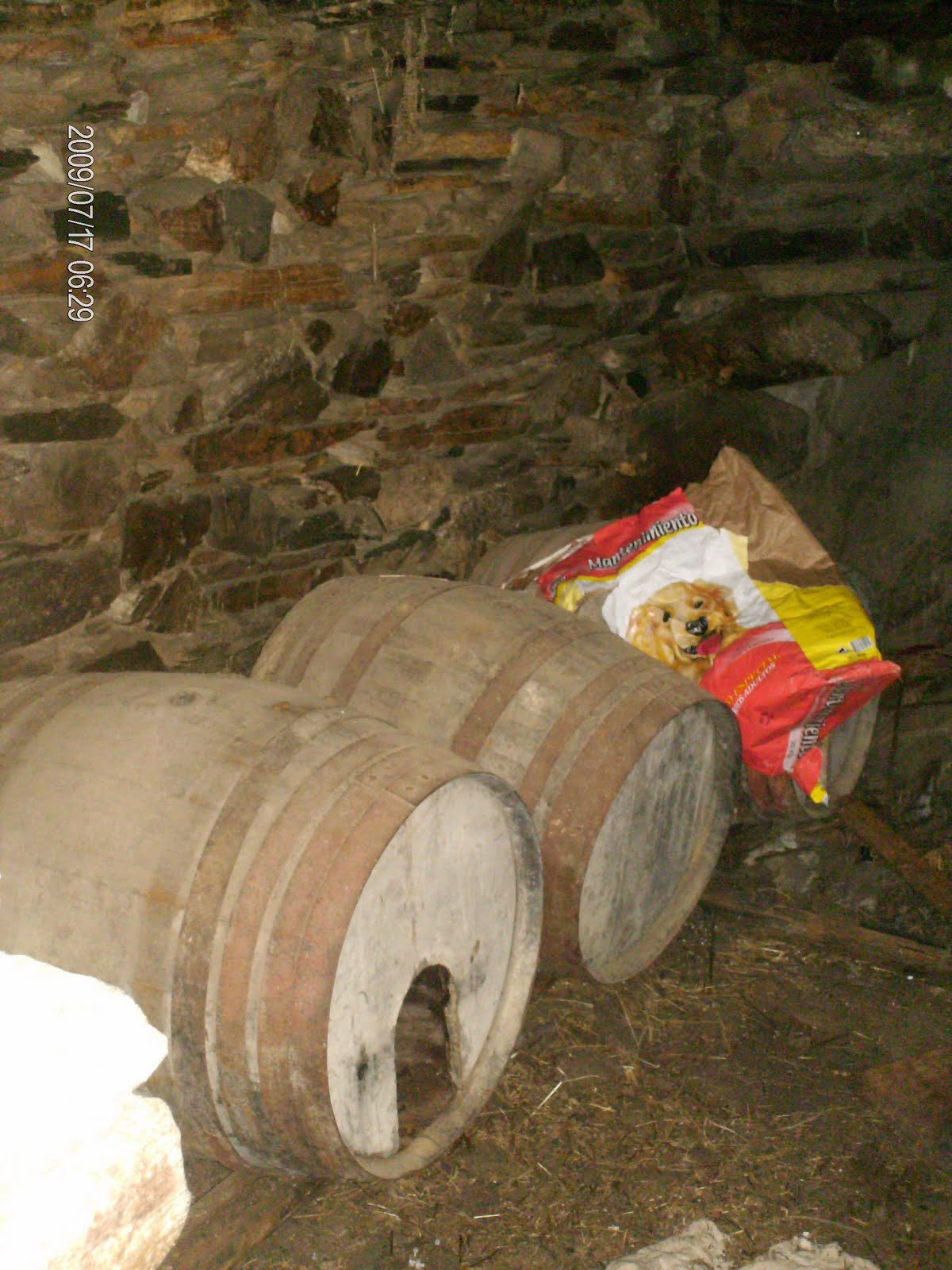 [HPIM1410.JPG]
