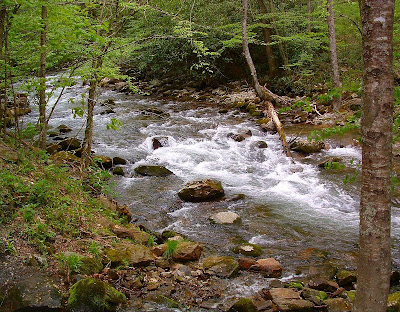 Cherokee Indians Food