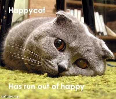 happy+cat