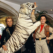 siegfried and roy