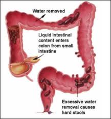 Frequent Bowel Movements After Drinking Alcohol Frequent Bowel Movements After Drinking Alcohol