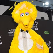 Big Bird turns 40