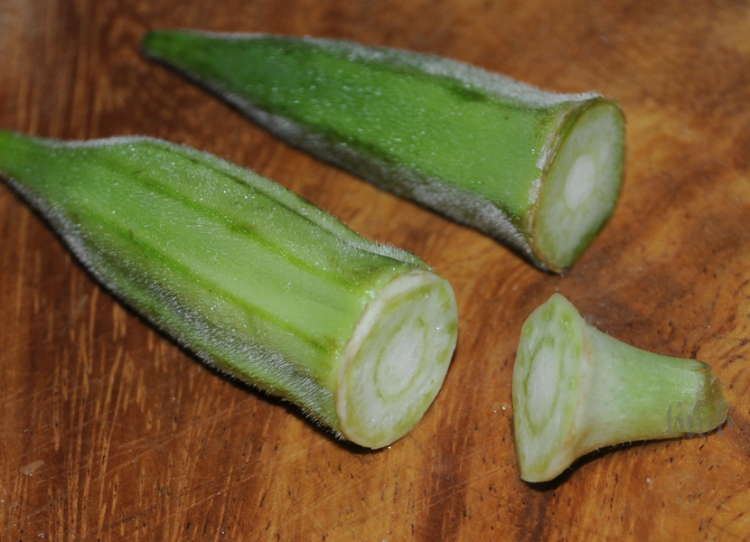 Handmade Addiction JapaneseStyle Okra
